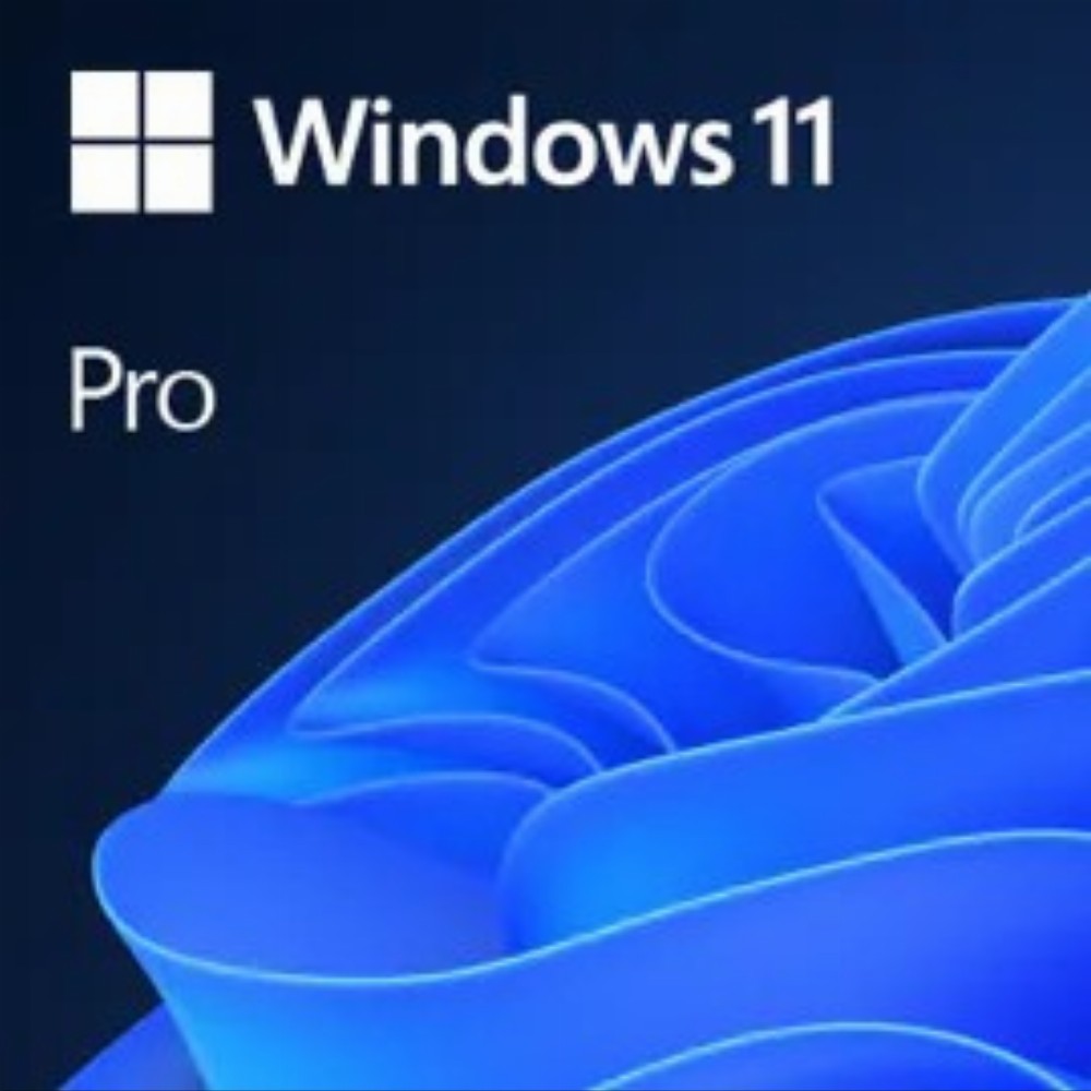 windows 11 pro 32 64 bit esd download